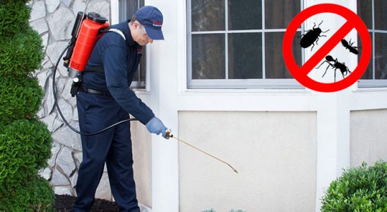 Boğazlıyan Sivrisinek İlaçlama böcek ilaçlama ve haşere kontrolü — ilaclama-tr.com